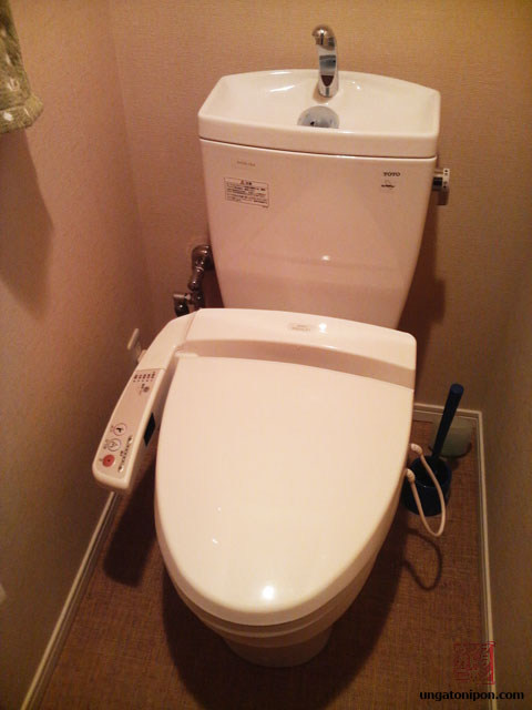 WC japonés moderno. Manual de uso.